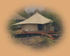 Bedouin style tent at Ol Seki ( 'Big tree' ) - a luxury camp just outside the Mara.